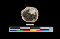 藏品(鐘乳石)的圖片